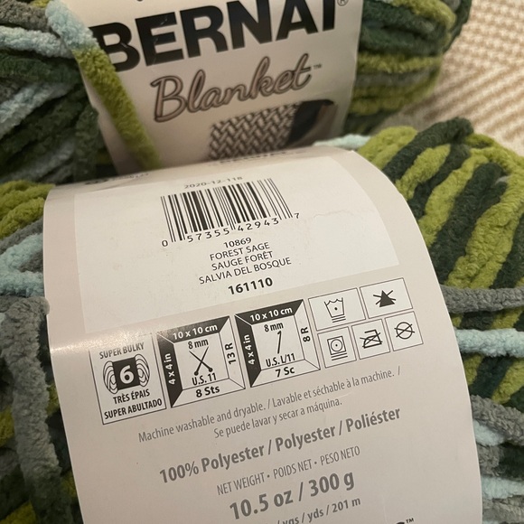 Bernat Yarnspirations Blanket Yarn in Green and Blue (Forest Sage) - Picture 4 of 4